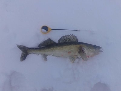 20150109_120457_thumb.jpg
