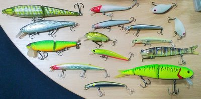 WP_20150117_006.jpg