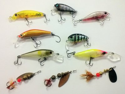 WP_20150219_004.jpg