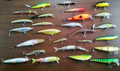 WP_20150226_003.jpg