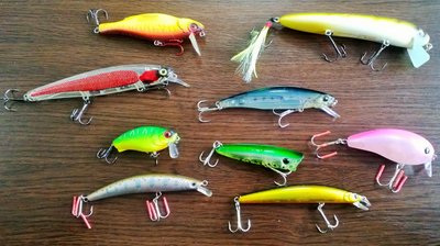 WP_20150226_002.jpg
