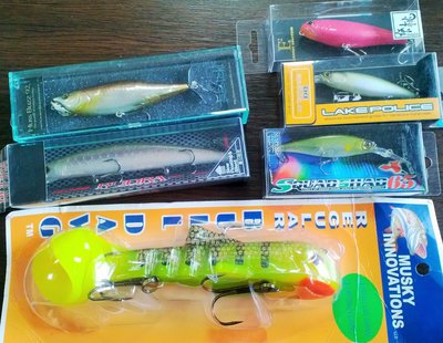 WP_20150226_001.jpg