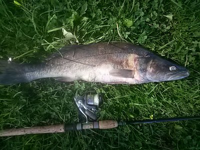 20150605_171204.jpg