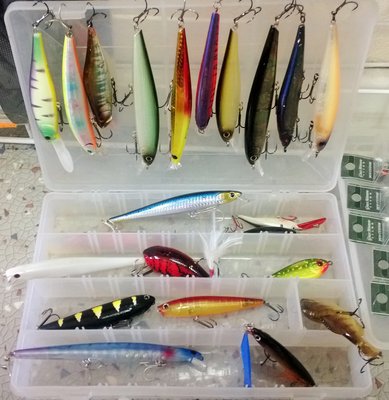 WP_20150618_003.jpg