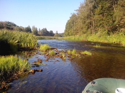 Обычно тут вода.