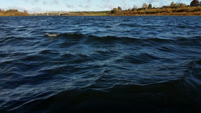 20151024_104758.jpg