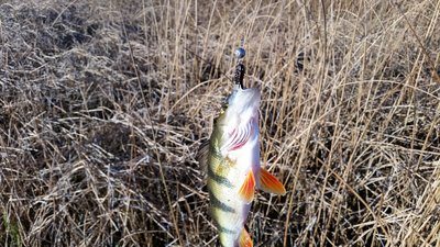 20151028_145712.jpg