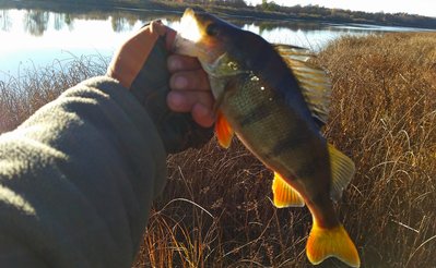 20151028_141315[1].jpg