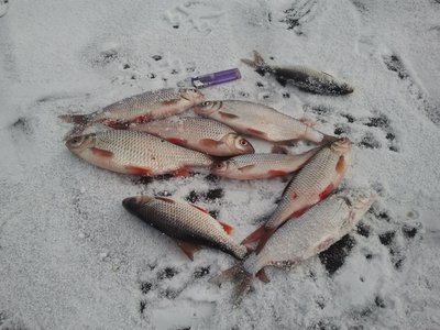 20160206_154944 (Копировать).jpg