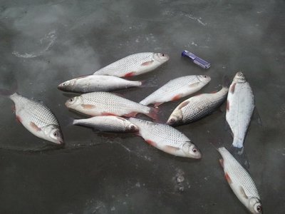 20160208_155647 (Копировать).jpg