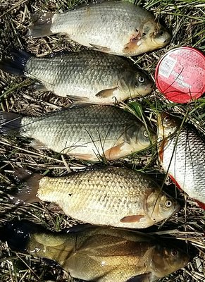 20160522_120847-1-1-1.jpg
