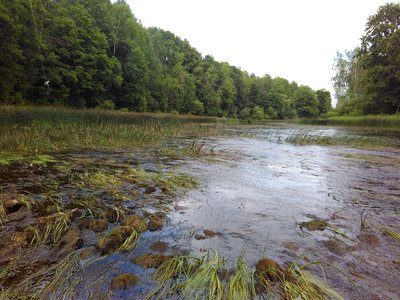 Курменский перекат, вода за ночь упала ещё сантов на 10-15.