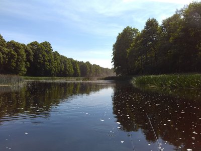 Между порывами ветра.