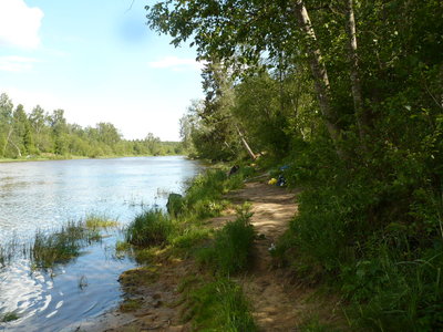 P1260100.JPG