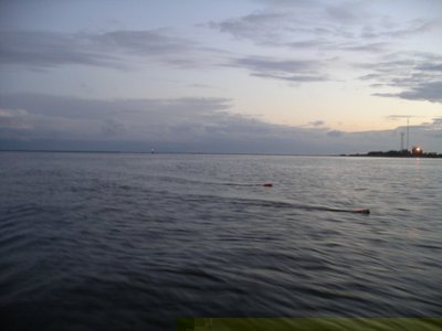 IMGP0925.jpg