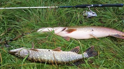 20161002_182824.jpg