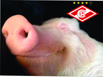 мы-чемпиёны.jpg