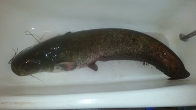 20161226_155002.jpg