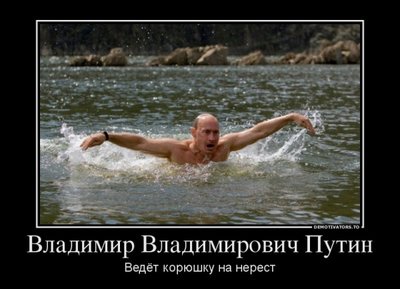 Путин-корюшка.jpg