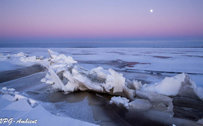 _MG_2893.jpg