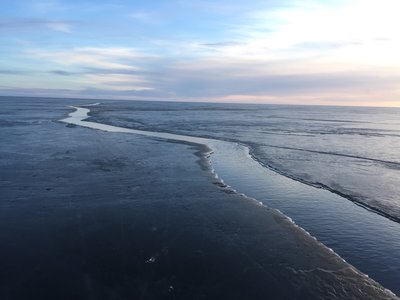 IMG_4249.JPG