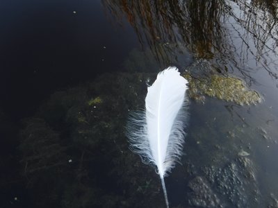 DSCF5310.JPG