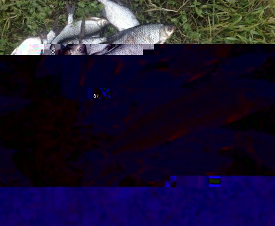 20102010940879676545453567890-98765435678.JPG