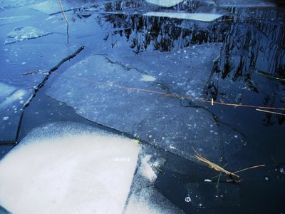 Ледок - от 1 до 2 см. Разбивали веслом.Почувствовали себя пароходом - ледоколом.