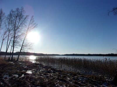 Pušas ezers 12 jan.jpg