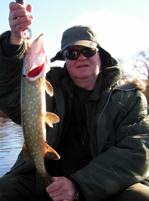 58 cm.jpg