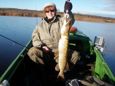 82 cm.jpg