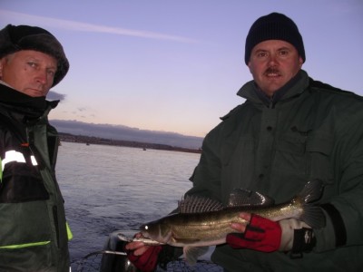 IMGP1274_renamed_20302.jpg