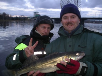 IMGP1276_renamed_22956.jpg