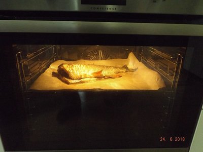DSCF6853.jpg