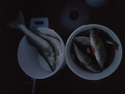 20180623_234832.jpg