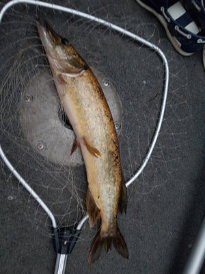 20180625_224127.jpg