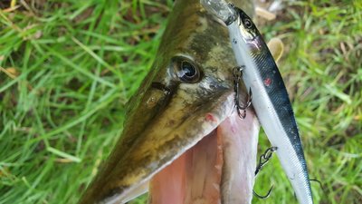 20180713_195714.jpg