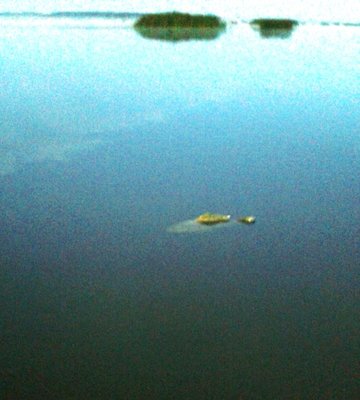 20180902_060040.jpg