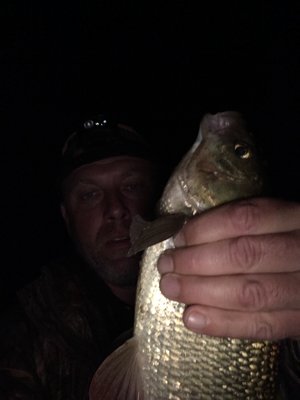 IMG_0223.JPG