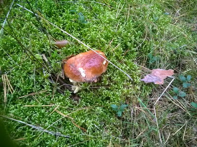 WP_20180918_09_15_50_Pro.jpg