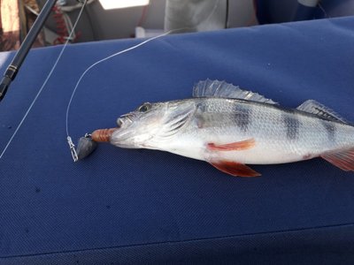 20181006_151108.jpg
