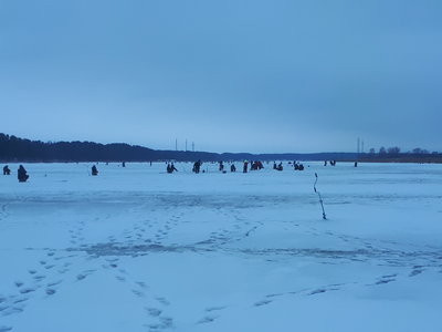 20190202_084252.jpg