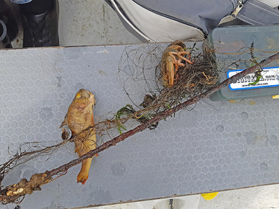20190511_103337.jpg
