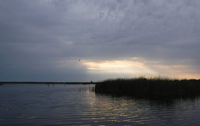 DSCF6276.JPG