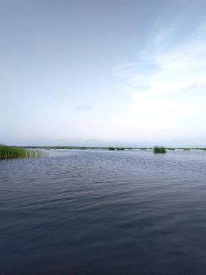 IMG_20190612_085517.jpg