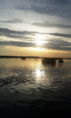 20190616_054839.jpg