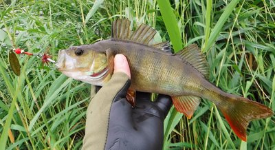 DSCF6332.JPG