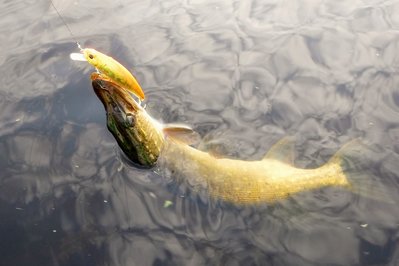 DSCF6557.JPG