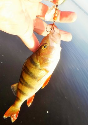 DSCF6611.JPG