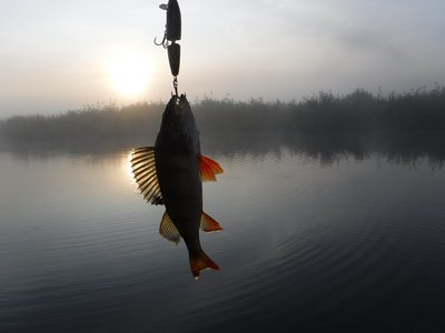 DSCF6610.JPG
